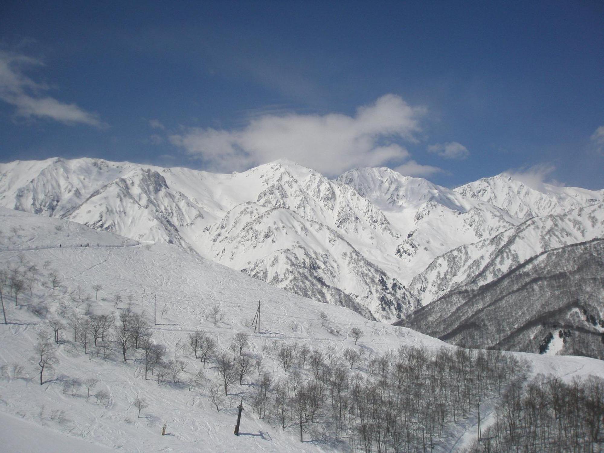 Bed and Breakfast Alpine Wind Hakuba Exteriér fotografie